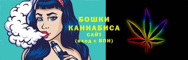 СК Вяземский