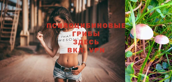 МДПВ Вязьма