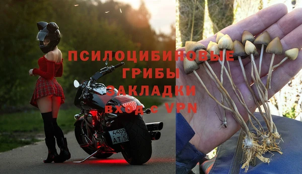мдпв Вязники