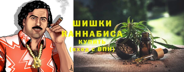 сатива Фёдоровский