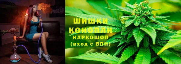 СК Вяземский